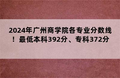 2024年广州商学院各专业分数线！最低本科392分、专科372分 